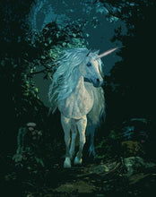Laden Sie das Bild in den Galerie-Viewer, Malen nach Zahlen fŸr Erwachsene |ÊWeißes Einhorn | Figured&#39;Art