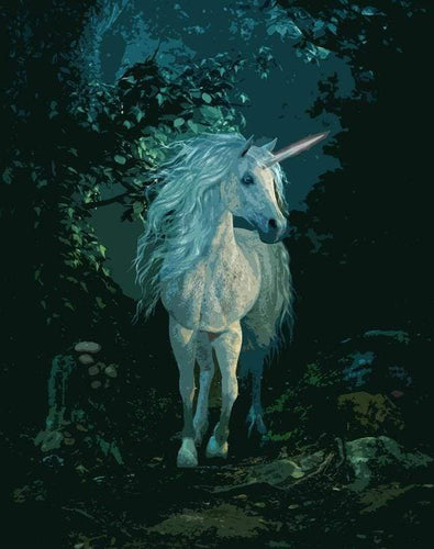 Malen nach Zahlen fŸr Erwachsene |ÊWeißes Einhorn | Figured'Art