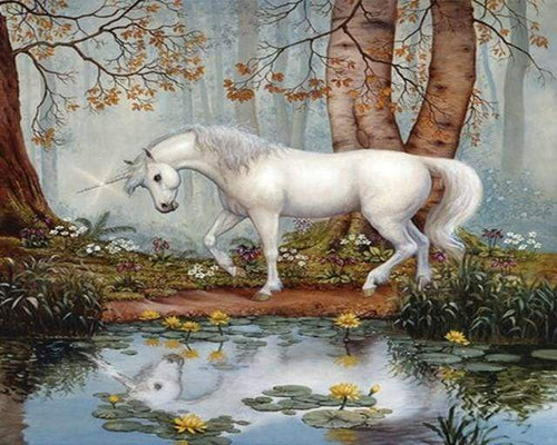 Malen nach Zahlen fŸr Erwachsene |ÊEinhorn im Wald | Figured'Art