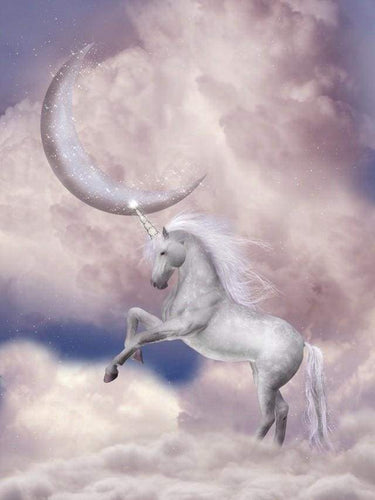 Malen nach Zahlen Erwachsene Einhorn und Mond Figured'Art