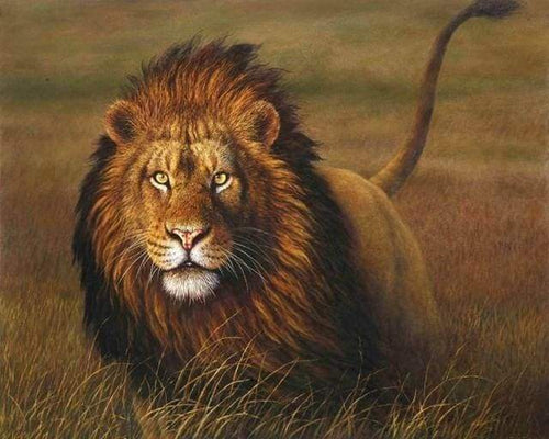 Malen nach Zahlen fŸr Erwachsene |ÊLöwe auf der Lauer | Figured'Art