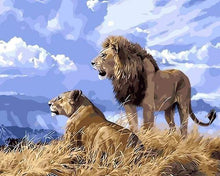 Laden Sie das Bild in den Galerie-Viewer, Malen nach Zahlen fŸr Erwachsene |ÊLöwe und Löwin in Afrika | Figured&#39;Art