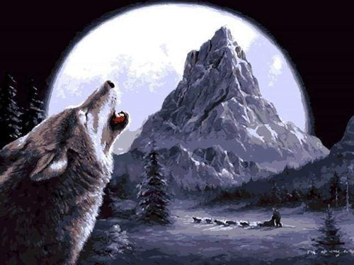Malen nach Zahlen fŸr Erwachsene |ÊWolf in den Himmel heulend | Figured'Art