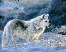 Laden Sie das Bild in den Galerie-Viewer, Malen nach Zahlen fŸr Erwachsene |ÊEinsamer Wolf im Schnee | Figured&#39;Art