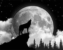 Laden Sie das Bild in den Galerie-Viewer, Malen nach Zahlen fŸr Erwachsene |ÊWolf und Vollmond | Figured&#39;Art