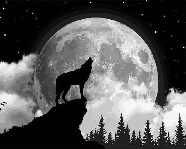 Malen nach Zahlen fŸr Erwachsene |ÊWolf und Vollmond | Figured'Art