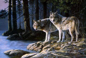 Malen nach Zahlen fŸr Erwachsene |ÊWölfe im Wald | Figured'Art