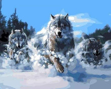 Laden Sie das Bild in den Galerie-Viewer, Malen nach Zahlen Erwachsene Wölfe im Schnee Figured&#39;Art