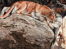 Laden Sie das Bild in den Galerie-Viewer, Malen nach Zahlen Erwachsene Luchs Figured&#39;Art