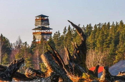 Malen nach Zahlen fŸr Erwachsene |ÊWachturm im Wald | Figured'Art