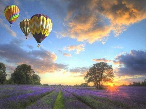 Malen nach Zahlen fŸr Erwachsene |ÊHeißluftballon über den Feldern | Figured'Art