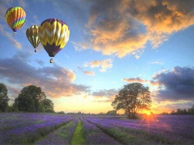 Malen nach Zahlen fŸr Erwachsene |ÊHeißluftballon über den Feldern | Figured'Art