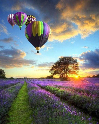 Malen nach Zahlen fŸr Erwachsene |ÊLuftballons über den Feldern (senkrecht) | Figured'Art