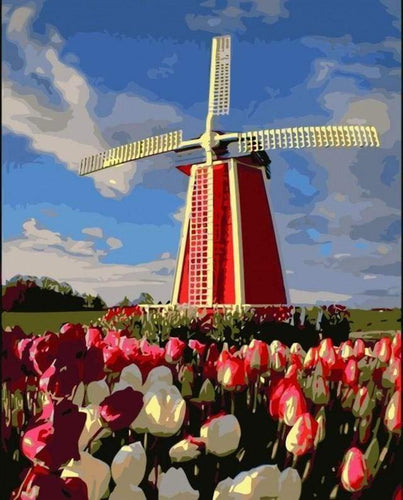 Malen nach Zahlen fŸr Erwachsene |ÊWindmühle und Blumen | Figured'Art