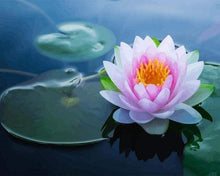 Laden Sie das Bild in den Galerie-Viewer, Malen nach Zahlen fŸr Erwachsene |ÊGlühende Seerose | Figured&#39;Art