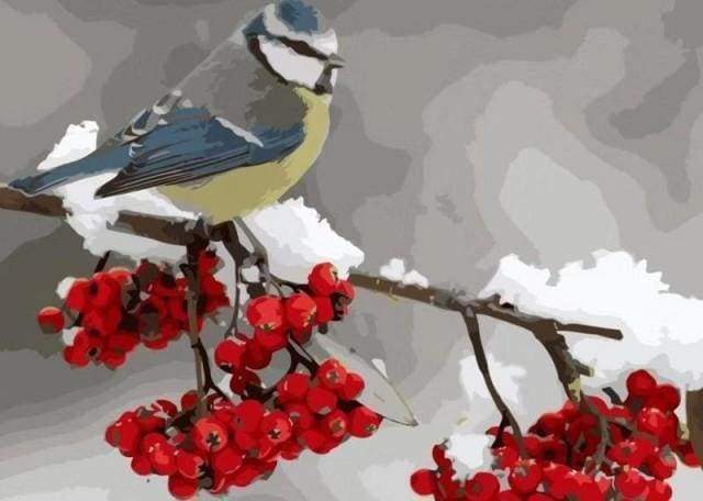Malen nach Zahlen fŸr Erwachsene |ÊVogel und rote Beeren | Figured'Art