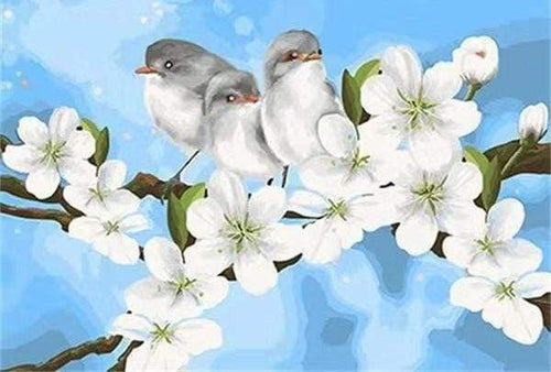 Malen nach Zahlen fŸr Erwachsene |ÊVögel und Magnoliablumen | Figured'Art