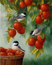 Laden Sie das Bild in den Galerie-Viewer, Malen nach Zahlen fŸr Erwachsene |ÊVögel und rote Äpfel | Figured&#39;Art