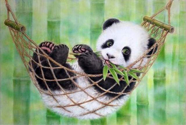 Malen nach Zahlen – Panda in Hängematte – Figured'Art