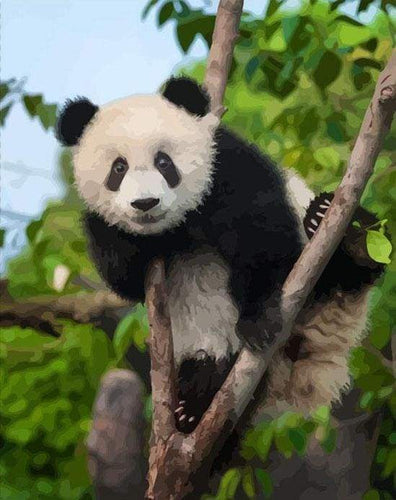 Malen nach Zahlen fŸr Erwachsene |ÊSitzender Panda | Figured'Art