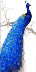 Malen nach Zahlen fŸr Erwachsene |ÊPfau tiefblau | Figured'Art