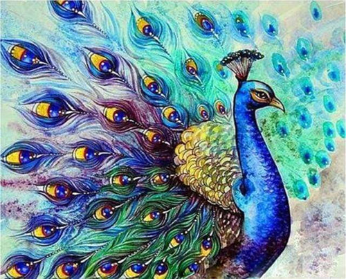 Malen nach Zahlen fŸr Erwachsene |ÊBunter Pfau | Figured'Art