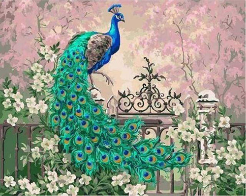 Malen nach Zahlen fŸr Erwachsene |ÊPfau und weiße Blumen | Figured'Art