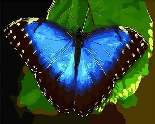 Malen nach Zahlen fŸr Erwachsene |ÊBlauer Schmetterling | Figured'Art