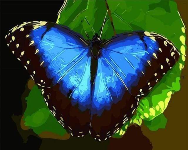 Malen nach Zahlen fŸr Erwachsene |ÊBlauer Schmetterling | Figured'Art