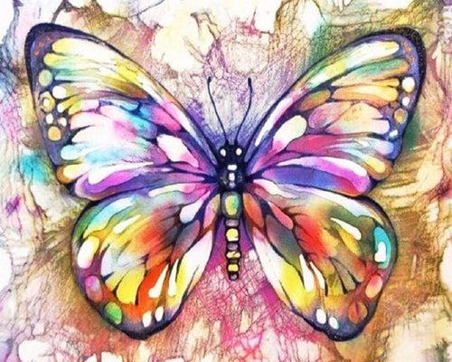 Malen nach Zahlen fŸr Erwachsene |ÊBunter Schmetterling | Figured'Art