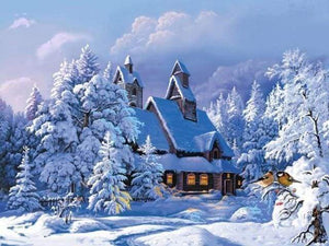 Malen nach Zahlen fŸr Erwachsene |ÊWinterlandschaft unter blauem Himmel | Figured'Art