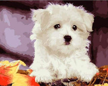 Laden Sie das Bild in den Galerie-Viewer, Malen nach Zahlen fŸr Erwachsene |ÊKleiner weißer Hund | Figured&#39;Art