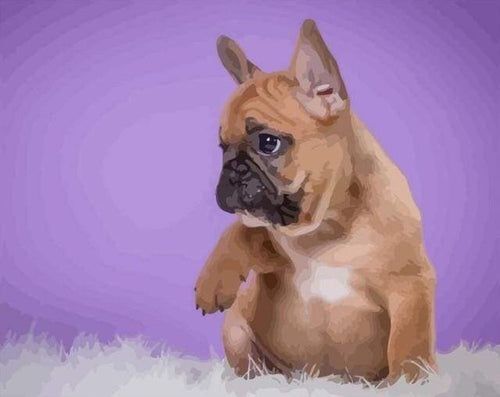 Malen nach Zahlen Erwachsene Kleiner Hund Figured'Art