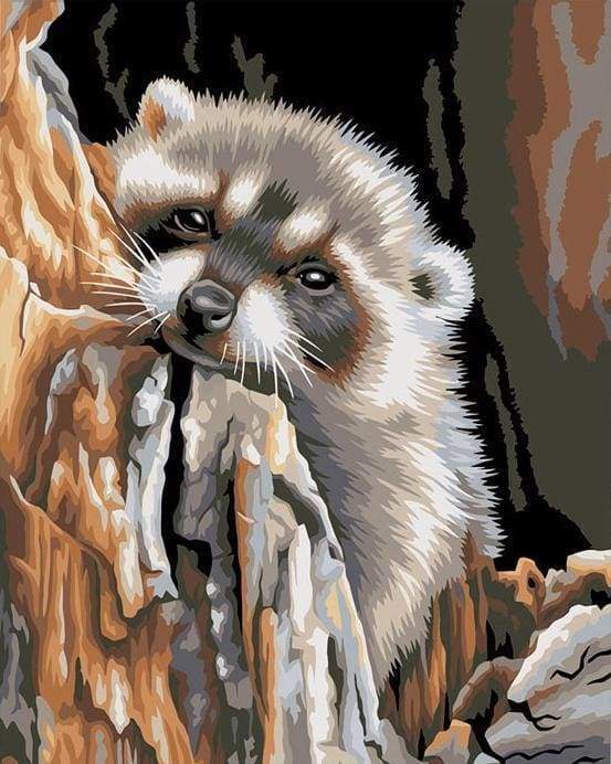 Malen nach Zahlen fŸr Erwachsene |ÊKleiner Waschbär | Figured'Art