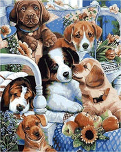 Laden Sie das Bild in den Galerie-Viewer, Malen nach Zahlen fŸr Erwachsene |ÊKleine ruhige Hunde | Figured&#39;Art