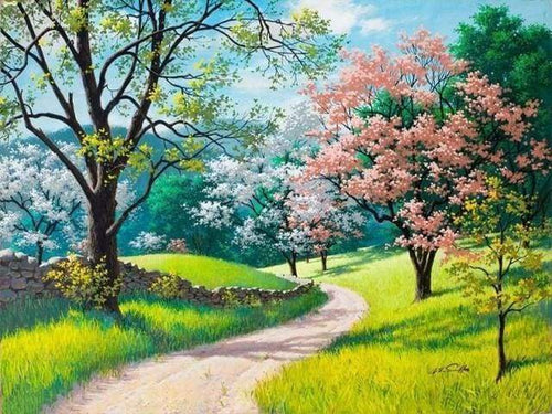 Malen nach Zahlen fŸr Erwachsene |ÊSpaziergang im Frühling | Figured'Art