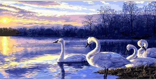 Malen nach Zahlen fŸr Erwachsene |ÊVier Schwäne auf einem See | Figured'Art
