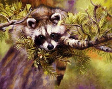 Laden Sie das Bild in den Galerie-Viewer, Malen nach Zahlen fŸr Erwachsene |ÊWaschbär auf einem Baum | Figured&#39;Art