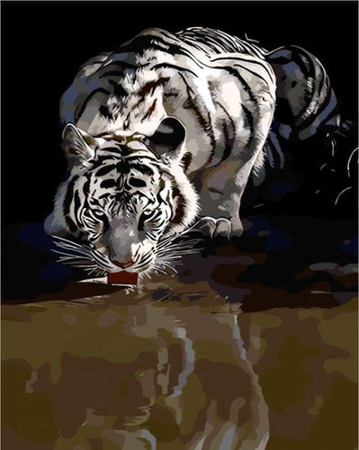 Malen nach Zahlen fŸr Erwachsene |ÊReflexion Tiger | Figured'Art