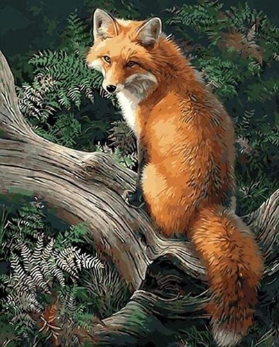 Malen nach Zahlen fŸr Erwachsene |ÊFuchs im Wald | Figured'Art