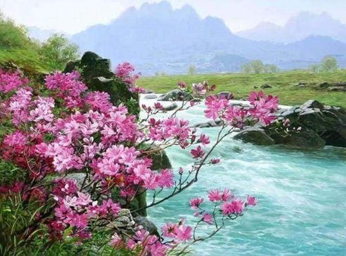 Malen nach Zahlen fŸr Erwachsene |ÊWilder Fluss | Figured'Art