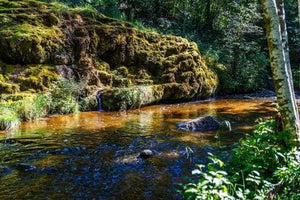 Malen nach Zahlen fŸr Erwachsene |ÊRuhiger Fluss | Figured'Art