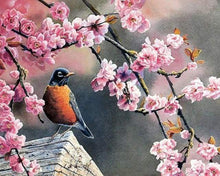Laden Sie das Bild in den Galerie-Viewer, Malen nach Zahlen fŸr Erwachsene |ÊRotkehlchen im Frühling | Figured&#39;Art