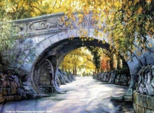 Laden Sie das Bild in den Galerie-Viewer, Malen nach Zahlen fŸr Erwachsene |ÊUnter der Brücke | Figured&#39;Art