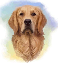 Laden Sie das Bild in den Galerie-Viewer, Malen nach Zahlen fŸr Erwachsene |ÊHundekopf | Figured&#39;Art