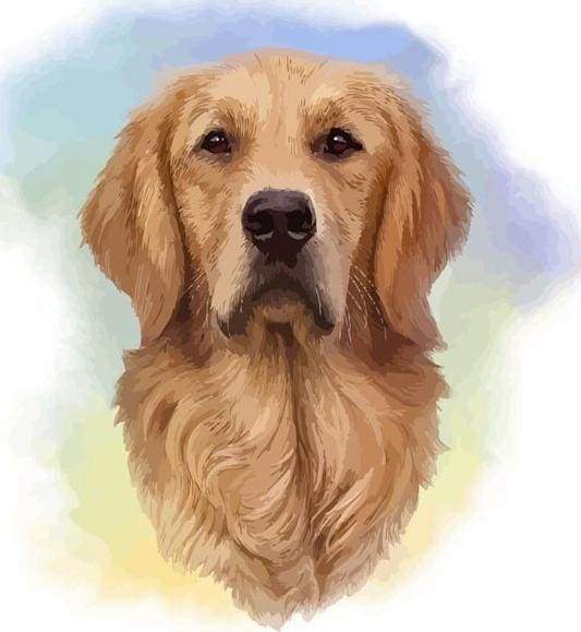Malen nach Zahlen fŸr Erwachsene |ÊHundekopf | Figured'Art