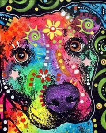 Malen nach Zahlen fŸr Erwachsene |ÊBunter Hundekopf | Figured'Art