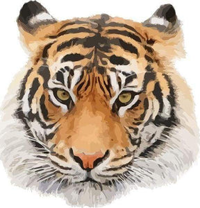 Malen nach Zahlen Erwachsene Tigerkopf Figured'Art
