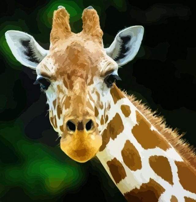 Shukqueen Malen Nach Zahlen Kit – Giraffe Schwarz-weiß, 40,6 X 50,8 Cm, Für Erwachsene & Kinder, Entspannendes DIY