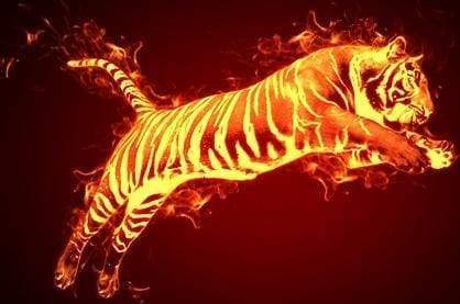 Malen nach Zahlen fŸr Erwachsene |ÊFeuertiger | Figured'Art